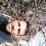 Kaan