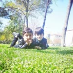 Seher