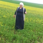 Barış