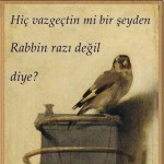 Nesrin