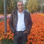 Gürbüz