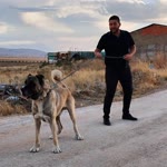 Metin