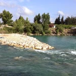 Burcu