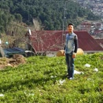 Yasin