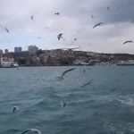Özlem