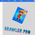 Brawler