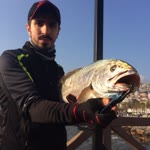 Öz Zaman