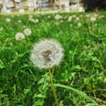 Profil fotoğrafı