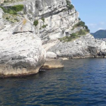 Elvan
