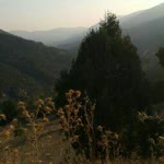 Fatma