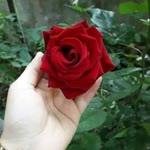 Başkan