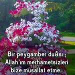 Profil fotoğrafı