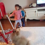 Soner