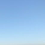 Gül