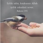Haydar