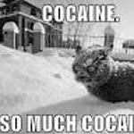 Ogulcan