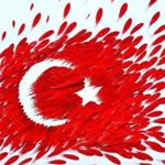 Hamdi