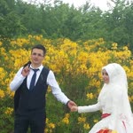 Doğan