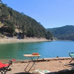 Salih