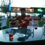 Şahin