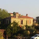 Tülay