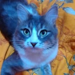 Hatice