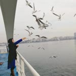 Arzu