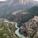 Şyd