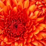 Hatice