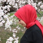 Melike