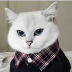 Furkan