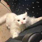 Esra
