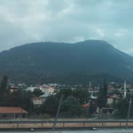 Erva