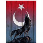 Cihan