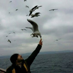 İsa