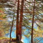 Aliye