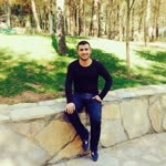 Şahin