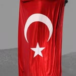 Doğan