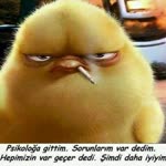 Yalçın