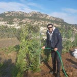 Ömer
