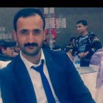 Şahin