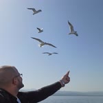 Zafer