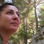 Neşe