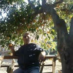 Hayrettin