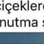 Nedret