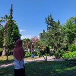 Çiğdem