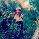Anil