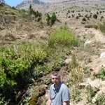 Gökhan