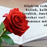 Seyfullah