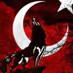 Kasım